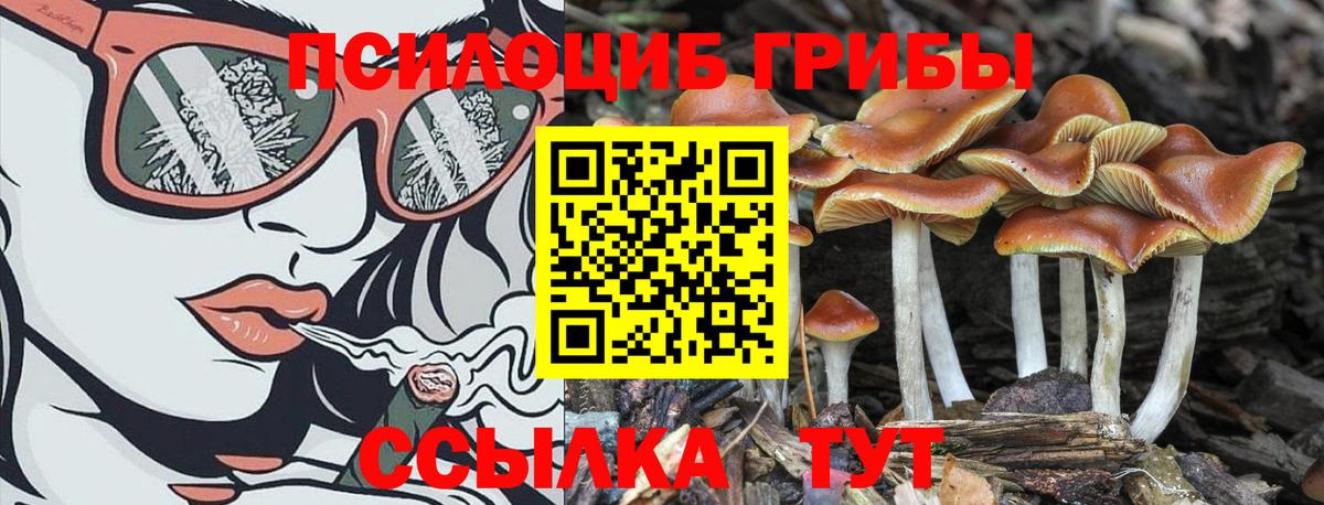 Псилоцибиновые грибы MAGIC MUSHROOMS  дарнет шоп  Лабинск  Вход с VPN 
